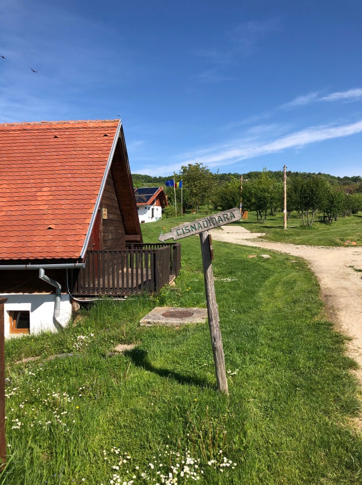 Camping Ananas, Cisnãdioara